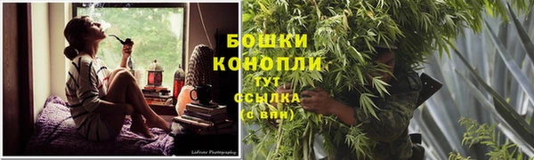 ГАЛЛЮЦИНОГЕННЫЕ ГРИБЫ Карпинск