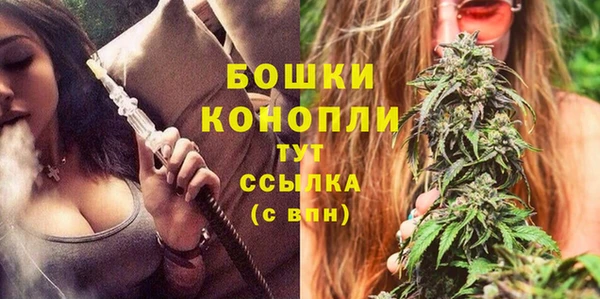 ГАЛЛЮЦИНОГЕННЫЕ ГРИБЫ Карпинск