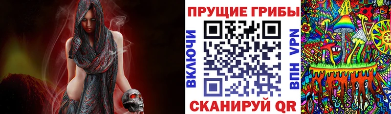 Псилоцибиновые грибы прущие грибы  Купить где  Рудня 