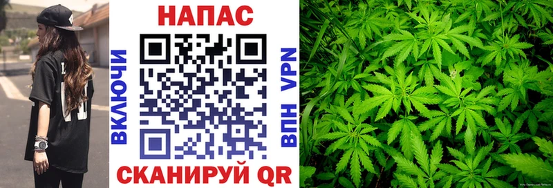 Бошки Шишки индика  Купить закладки  Рудня 